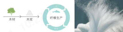 Ԫ衿Ƽ